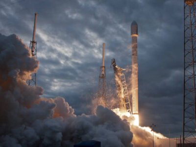 Custom Alien Species Creation Sheet