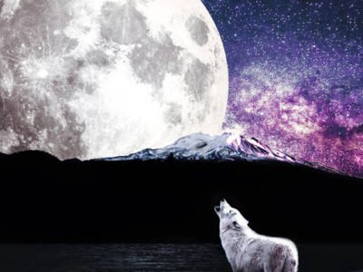 Moon Fact Cards
