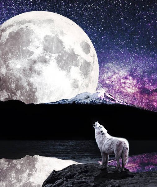 Moon Fact Cards