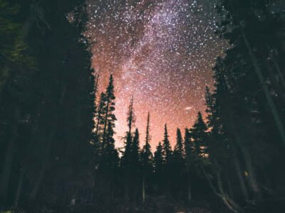 Build A Planet Sheet