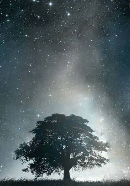Our Closest Star