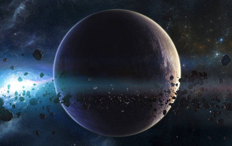 Space Pet Adoption Kit