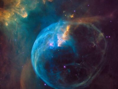 Orbits and Gravity Study