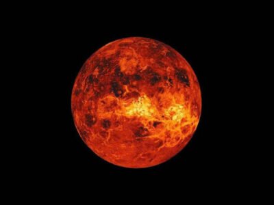 Alien Life Theories
